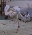 ca. 2,01 MB